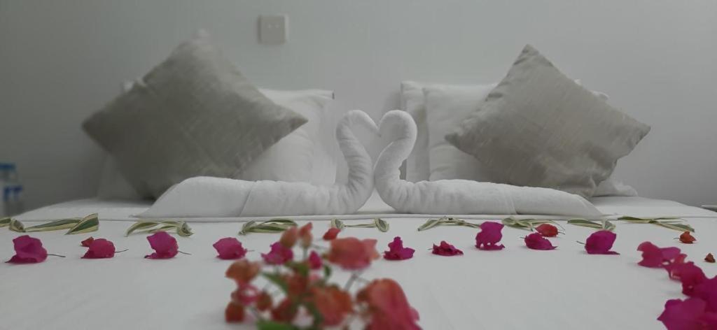 Ocean Beauty Guest House Negombo Zewnętrze zdjęcie