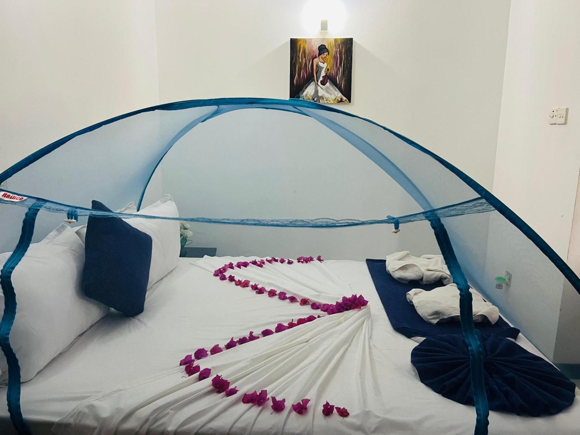 Ocean Beauty Guest House Negombo Zewnętrze zdjęcie