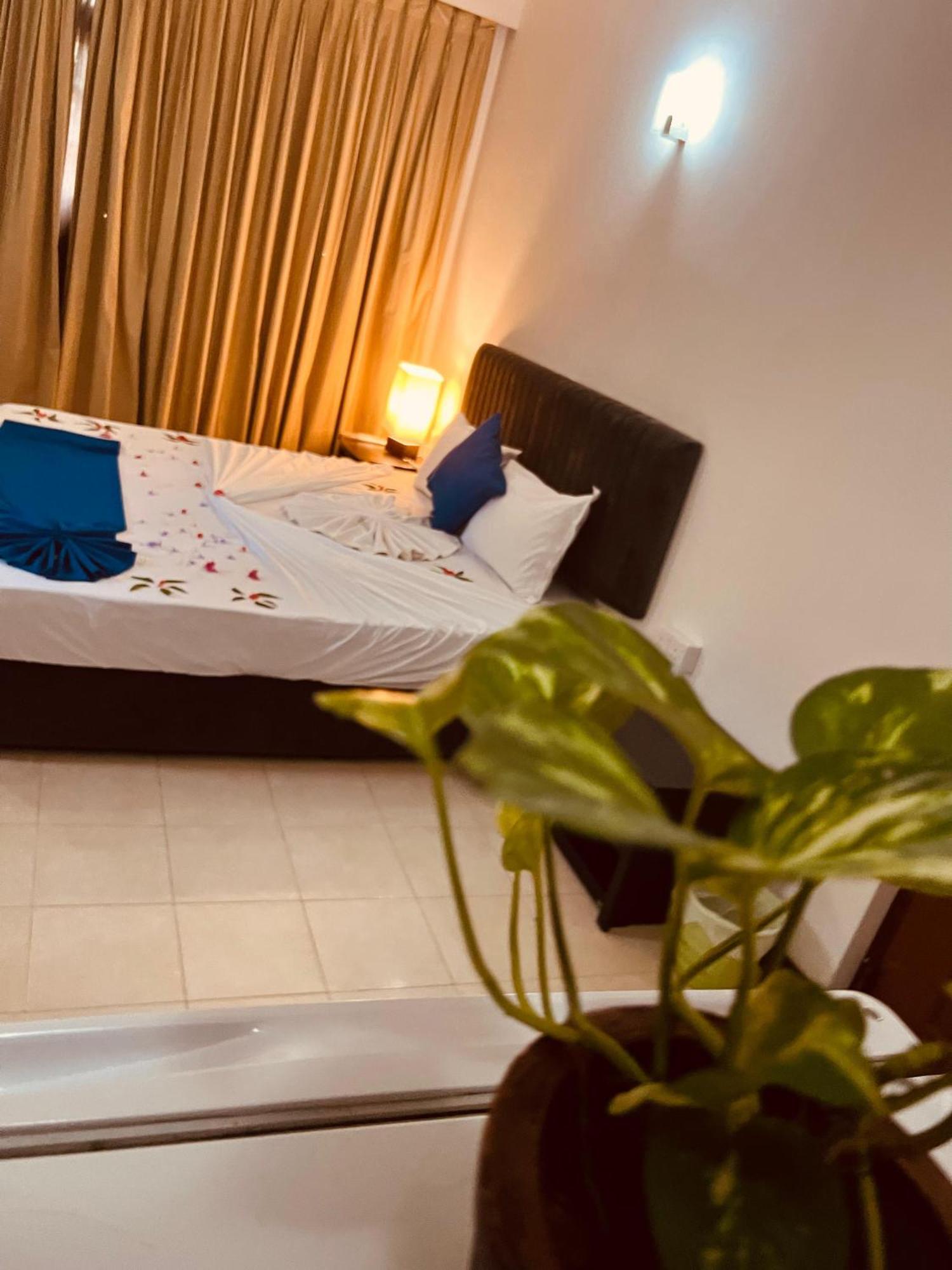 Ocean Beauty Guest House Negombo Zewnętrze zdjęcie