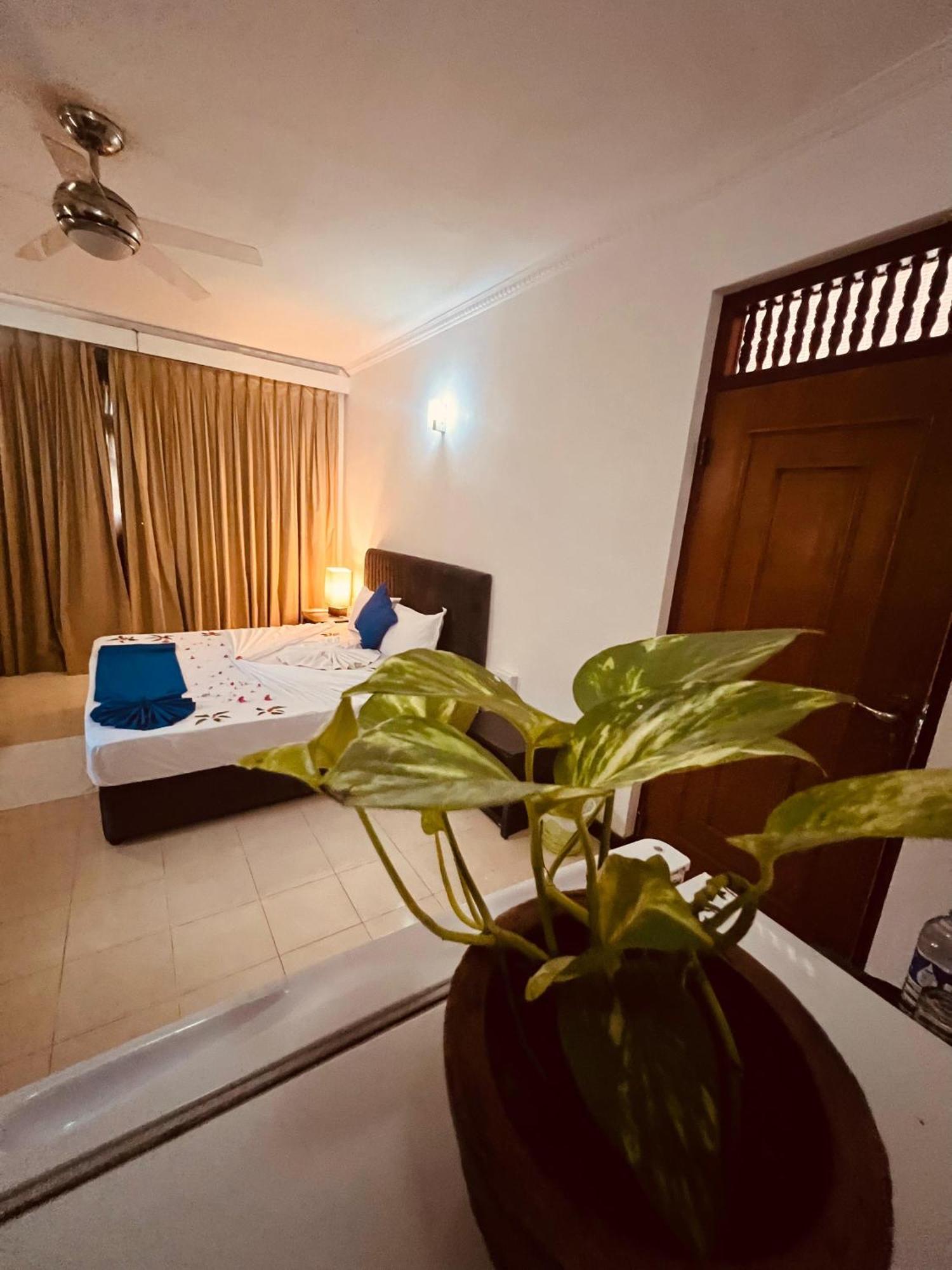 Ocean Beauty Guest House Negombo Zewnętrze zdjęcie