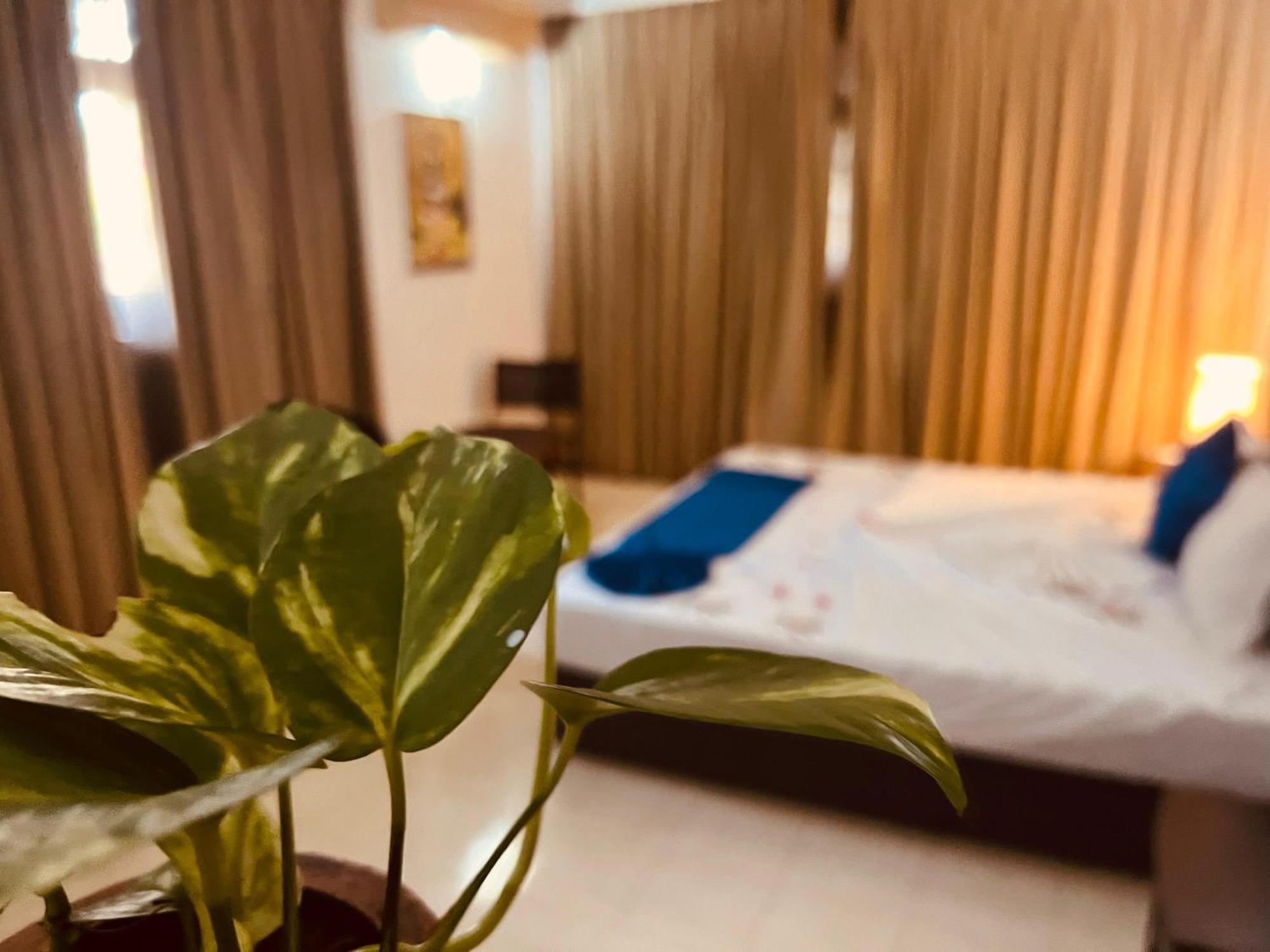 Ocean Beauty Guest House Negombo Zewnętrze zdjęcie